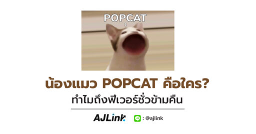 น้องแมว POPCAT คือใคร? ทำไมถึงฟีเวอร์ชั่วข้ามคืน