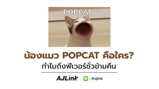 น้องแมว POPCAT คือใคร? ทำไมถึงฟีเวอร์ชั่วข้ามคืน